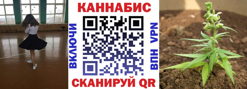 Купить где  Топки  Конопля OG Kush 